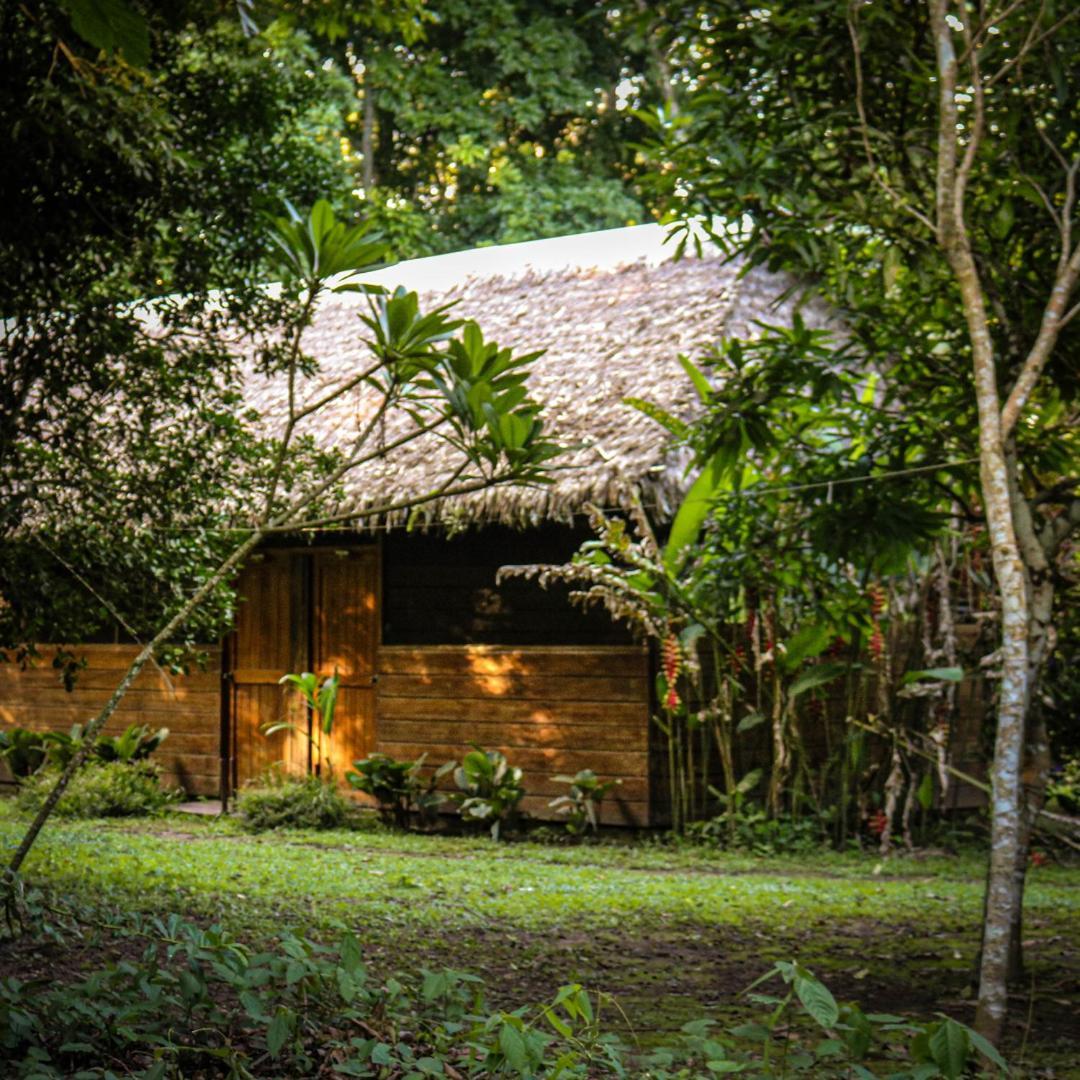 Hacienda Herrera Tambopata Puerto Maldonado Exteriör bild