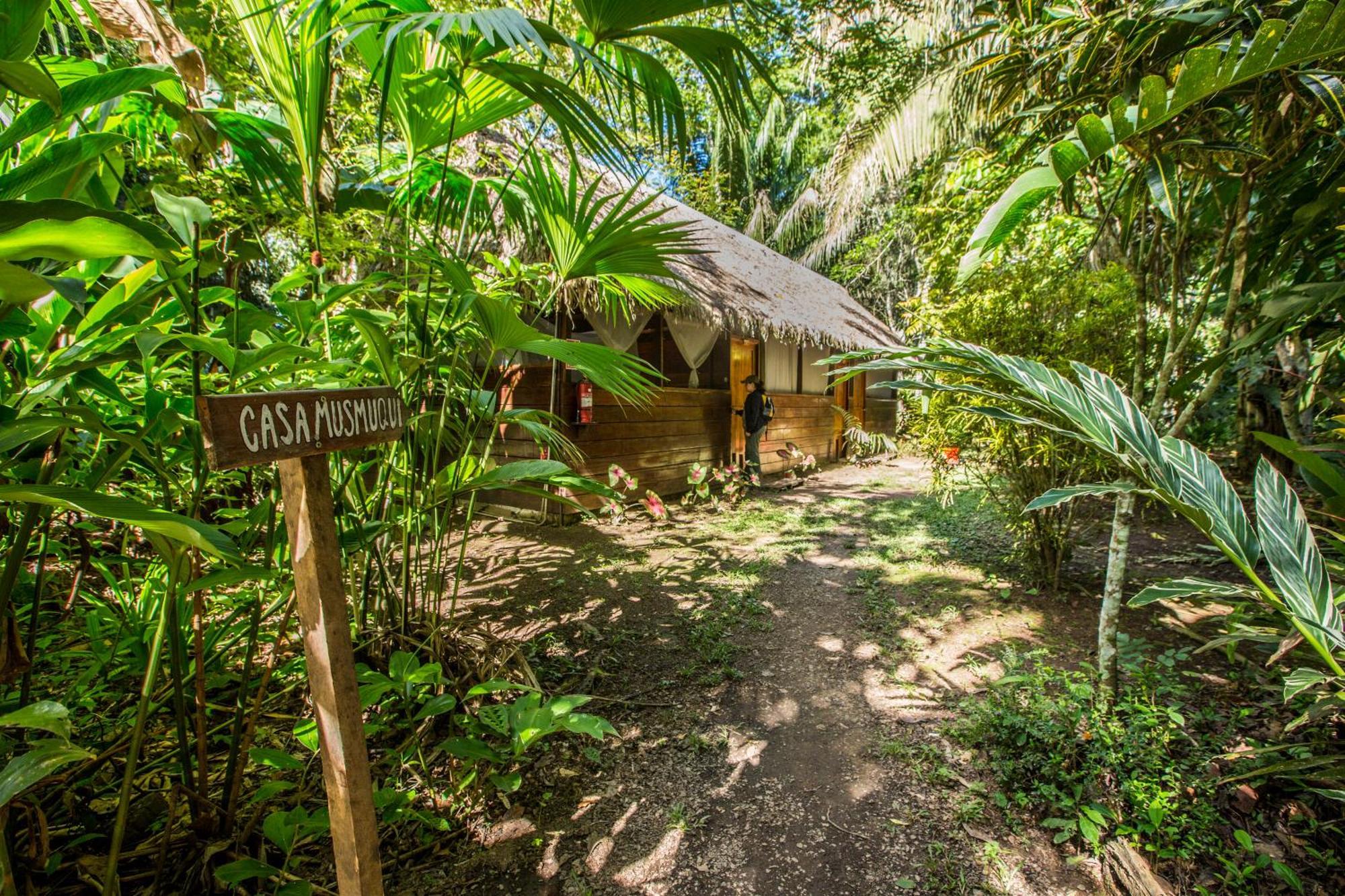 Hacienda Herrera Tambopata Puerto Maldonado Exteriör bild