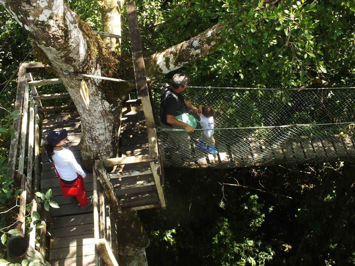 Hacienda Herrera Tambopata Puerto Maldonado Exteriör bild
