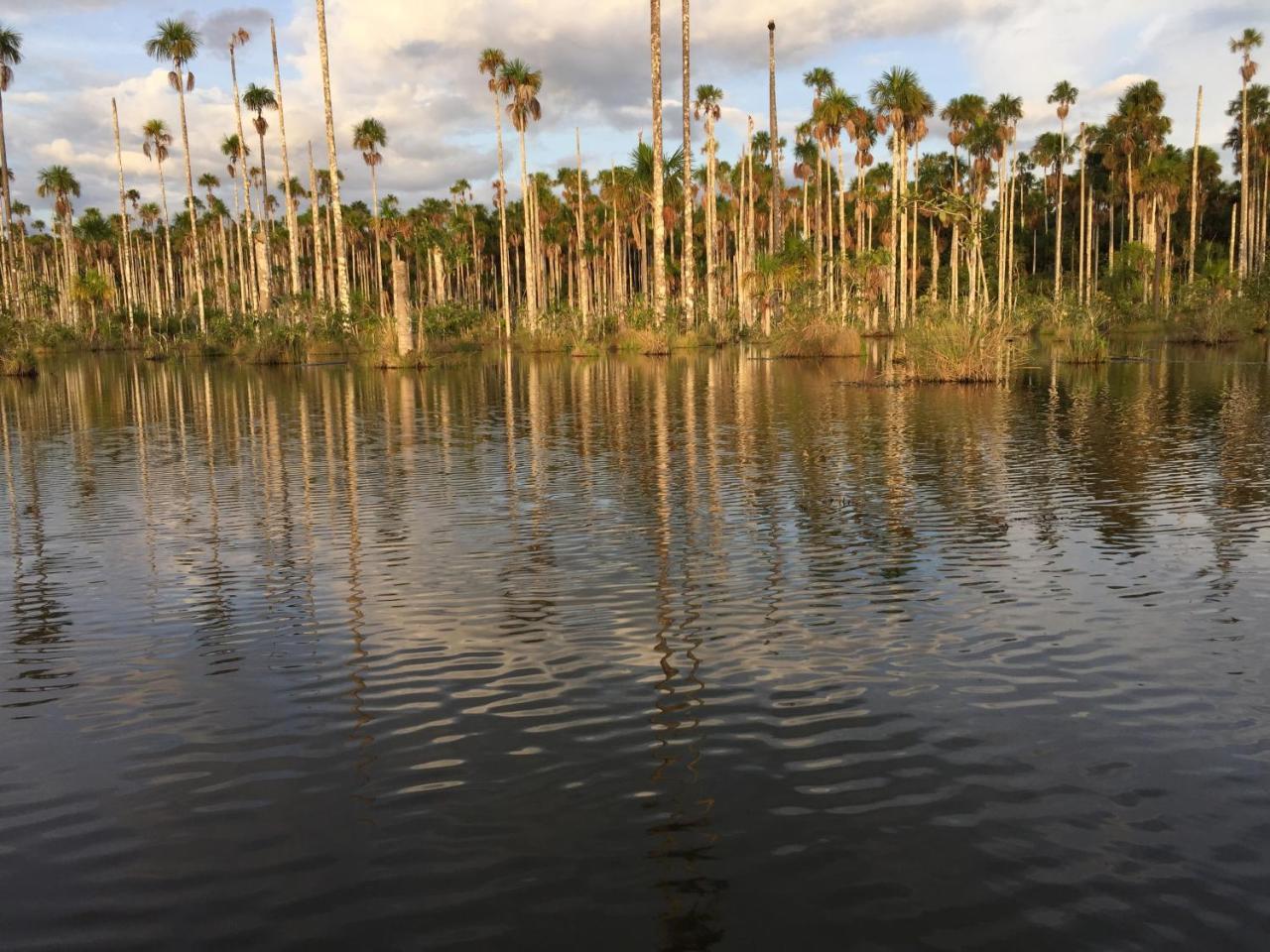 Hacienda Herrera Tambopata Puerto Maldonado Exteriör bild