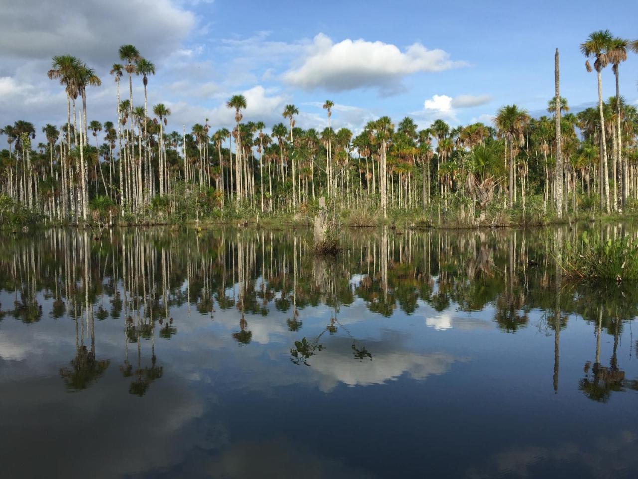 Hacienda Herrera Tambopata Puerto Maldonado Exteriör bild